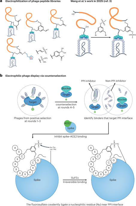 Fishing for covalent peptides | Nature Chemical Biology