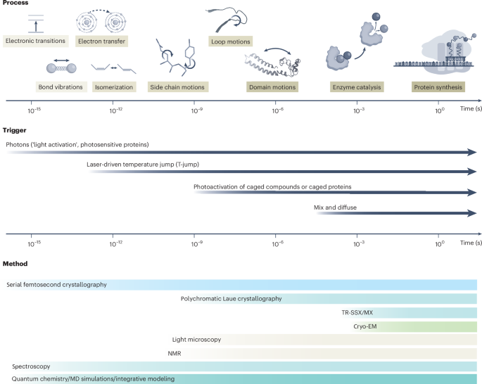 Advancing time-resolved structural biology: latest strategies in cryo-EM and X-ray crystallography