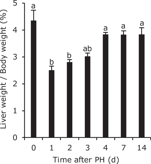 Time-course liver microarray data from 0 to 14 days in a 70% partial hepatectomy mouse model