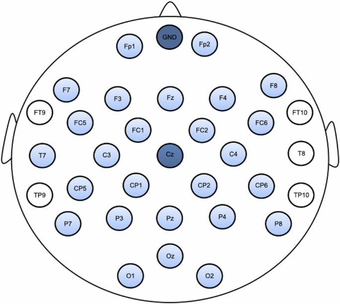 Cognitive Electrophysiology in Socioeconomic Context in Adulthood