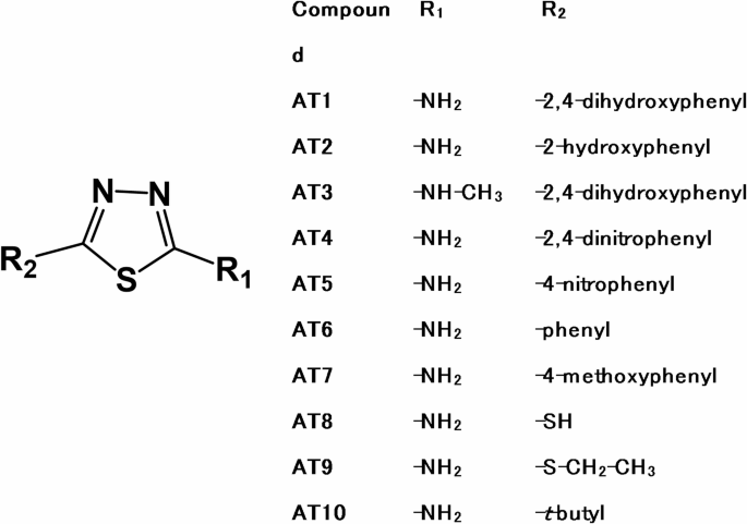 Synergistic effect of synthetic derivatives of 1,3,4-thiadiazole with amphotericin B in antifungal therapy