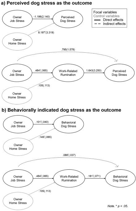 Dog owners’ job stress crosses over to their pet dogs via work-related rumination