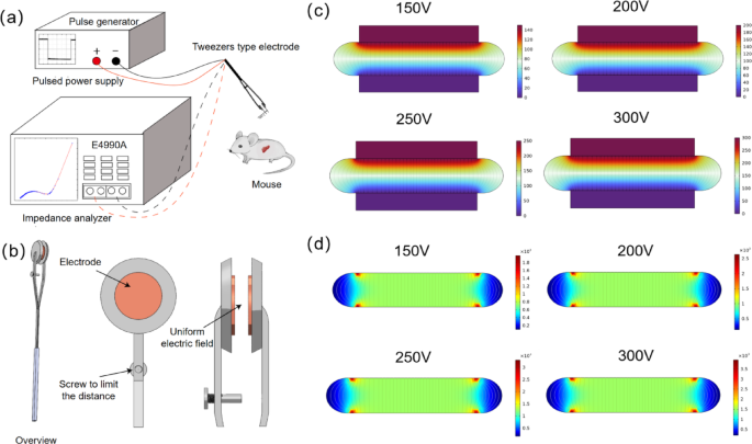 Bioimpedance assessment method based on back propagation neural network for irreversible electroporation of liver tissue