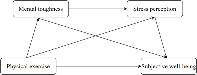 Analyzing the effect of physical exercise on subjective well-being of university students using the chain mediation model