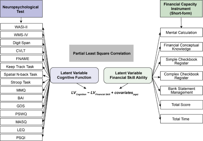 Understanding the cognitive factors which contribute to individual differences in financial capacity in aging
