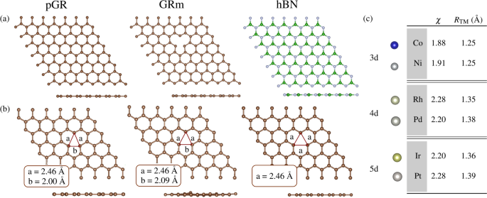 Understanding stability and reactivity of transition metal single-atoms on graphene