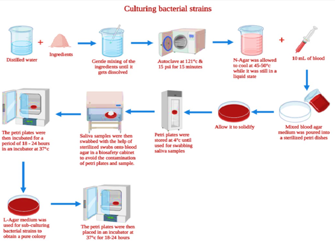 Evaluating the efficacy of Chenopodium murale plant extract in inhibiting Streptococcus mutans and reducing dental caries risk