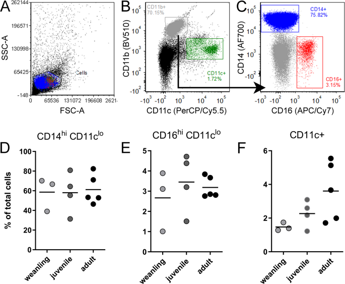 Age dependent susceptibility and immune responses to La Crosse virus infection in non-human primates