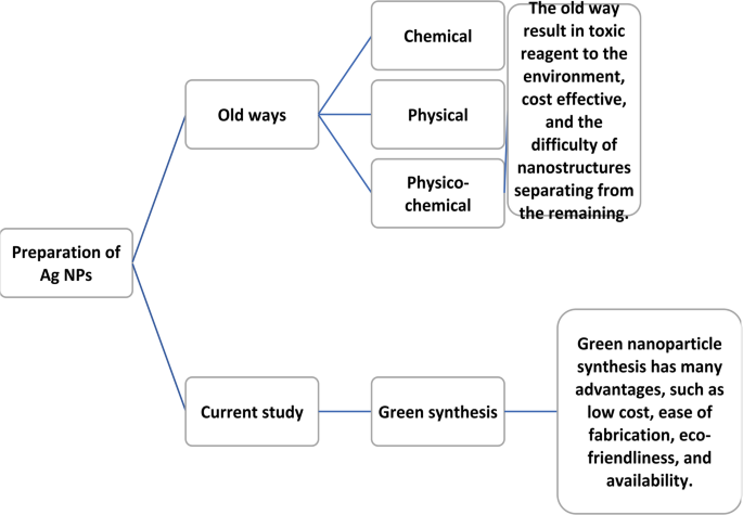 Biogenic nano-silver doped grapefruit peels biocomposite for biosorptive photocatalytic degradation of organic pollutants