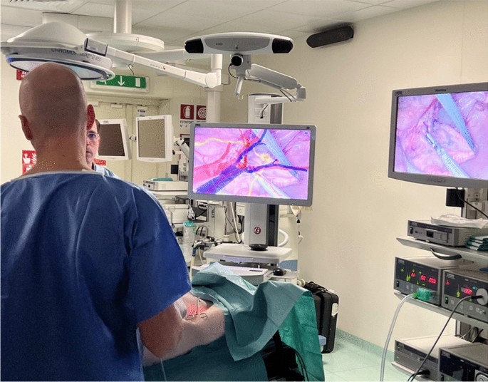 Evaluating the EVA surgical navigation system for ureteral identification in an in vivo porcine model