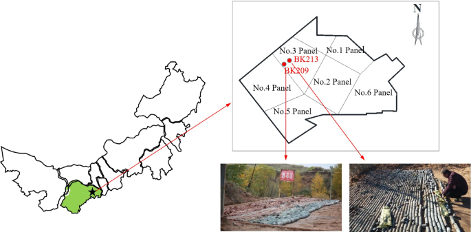 Research on Brazilian splitting mechanics and acoustic emission characteristics of various types of sandstones in Shendong mining area