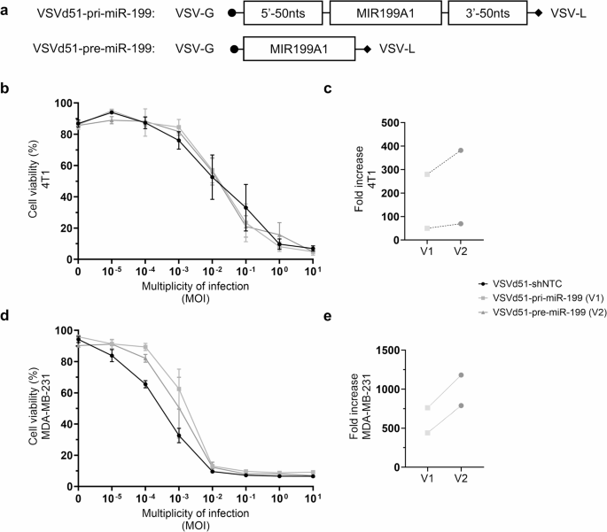 Therapeutic limitations of oncolytic VSVd51-mediated miR-199a-5p delivery in triple negative breast cancer models