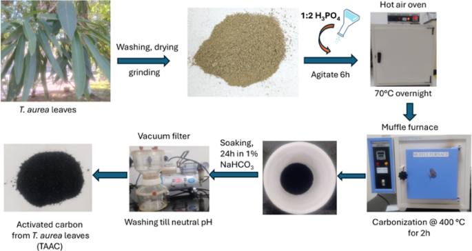 Mesoporous activated carbon from Tabebuia aurea leaves for effective adsorptive removal of 2,4-dichlorophenoxyacetic acid