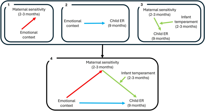 The role of maternal sensitivity, infant temperament, and emotional context in the development of emotion regulation