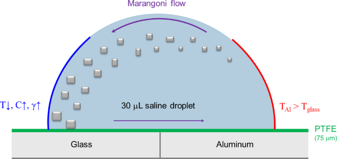 Controlling salt deposition patterns using engineered substrates and thermal gradients