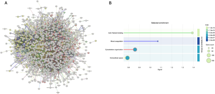 Integrated proteomics highlights functional activation induced by advanced-platelet rich fibrin plus (A-PRF +) in primary equine fibroblasts