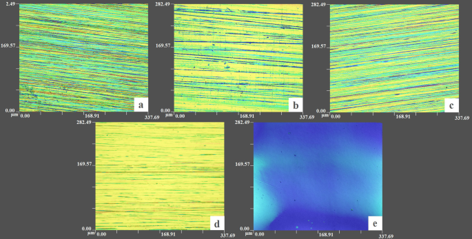 The role of unidirectional surface roughness on the regularity of LIPSS generated on stainless steel using femtosecond lasers