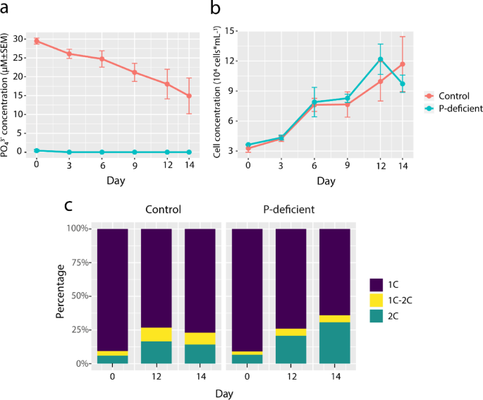 Transcriptomic response of marine dinoflagellate Prorocentrum cordatum to phosphorus deficiency
