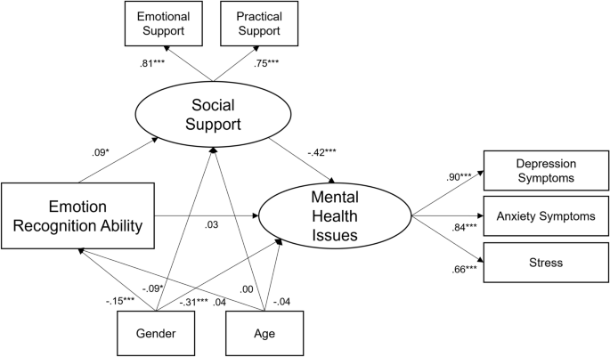 Social support and avoidance mediate positive and negative effects of emotion recognition ability on mental health in medical students
