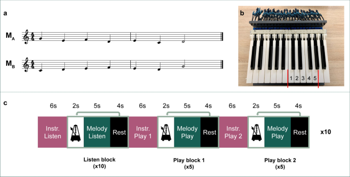 Common brain representations of action and perception investigated with cross-modal classification of newly learned melodies