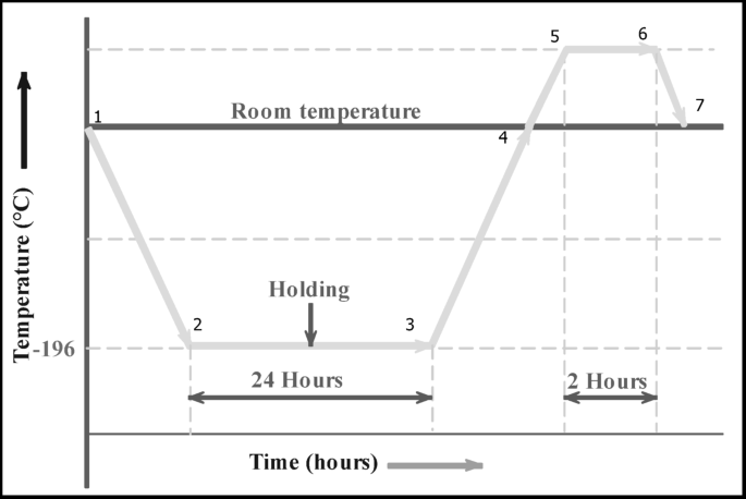 Deep cryo treated tungsten carbide tools on AISI 1045 steel turning through grey relational analysis and preference selection index