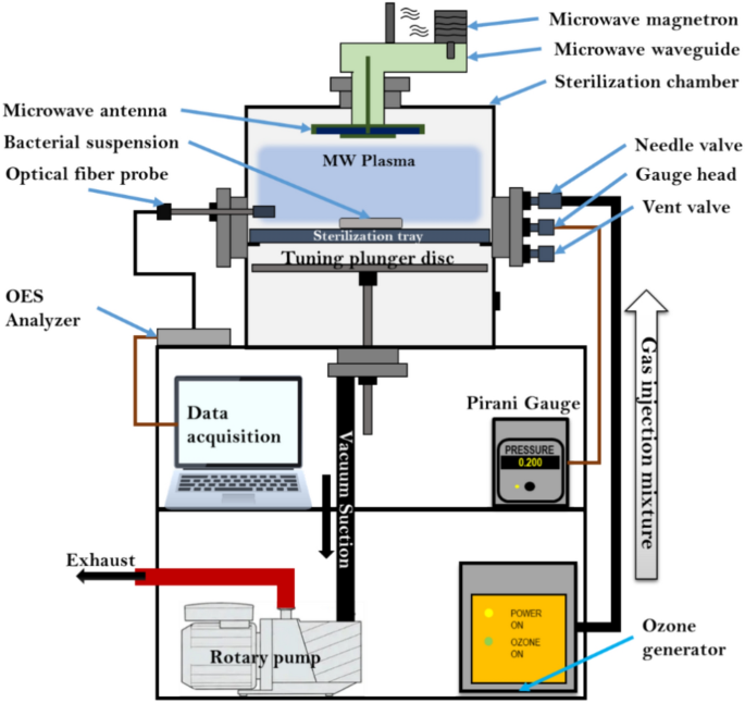 Investigating the effects of microwave plasma on bacterial cell structures, viability, and membrane integrity