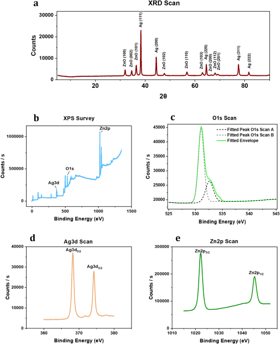 Antibiofilm activity of ZnO–Ag nanoparticles against Pseudomonas aeruginosa
