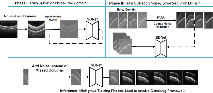 Self-supervised model-informed deep learning for low-SNR SS-OCT domain transformation
