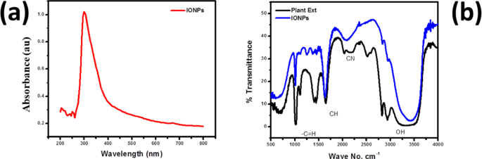 Green synthesis an eco-friendly route for the synthesis of iron oxide nanoparticles using aqueous extract of Thevetia peruviana and their biological activities