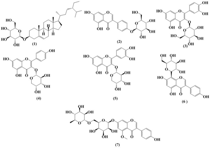 Phytochemical, biological, DFT, and molecular docking evaluation of Euphorbia paralias