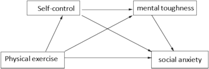 Analyzing the effect of physical exercise on social anxiety in college students using the chain mediation model