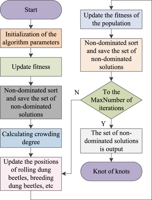 A study of scheduling strategies for microgrids based on the non-dominated sorting dung beetle optimization algorithm