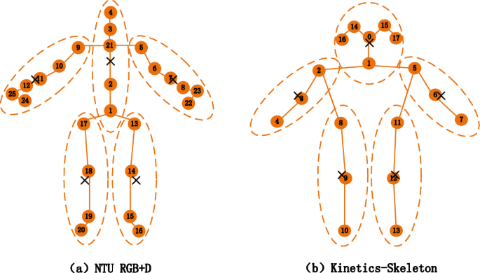 Action recognition using part and attention enhanced feature fusion