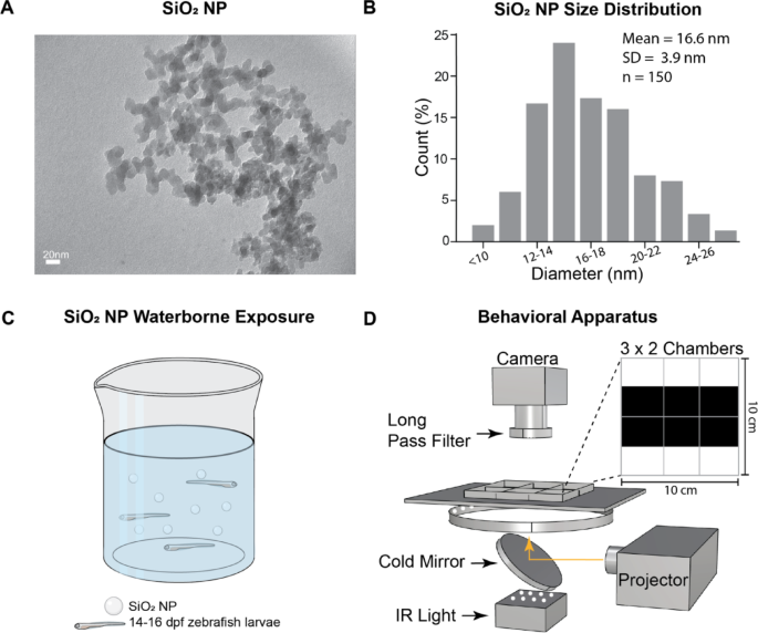 Altered locomotion and anxiety after exposure to SiO2 nanoparticles in larval zebrafish