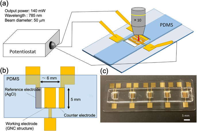 Microchemical system for simultaneous measurement of surface-enhanced Raman scattering and electrochemical reactions
