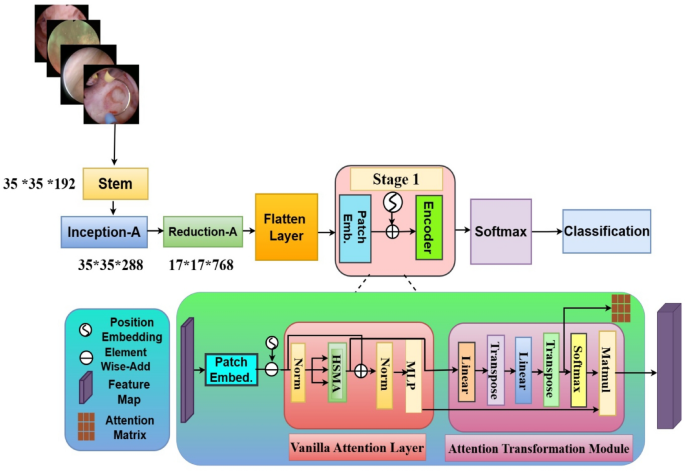 Bladder lesion detection using EfficientNet and hybrid attention transformer through attention transformation