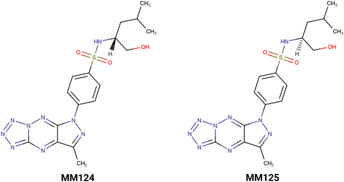 Synthesis, anticancer evaluation, and electrochemical investigation of new chiral pyrazolo[4,3-e]tetrazolo[1,5-b][1,2,4]triazine sulfonamides