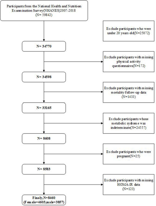 Insulin resistance mediates the association between physical activity and mortality in US adults with metabolic syndrome