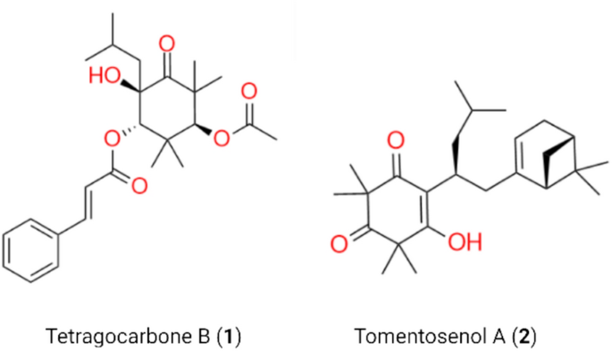 Quality assessment and chemical diversity of Australian propolis from Tetragonula carbonaria and Tetragonula hockingsi stingless bees
