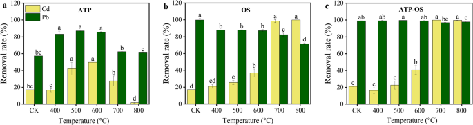 Attapulgite/oyster shell composite reduces cadmium and lead bioavailability in acidic agricultural soils through synergistic adsorption and pH regulation