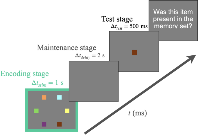 Decoding the impact of aging on the interaction between visual attention and working memory
