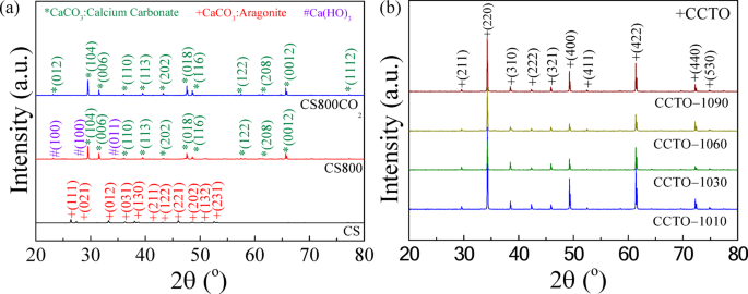 Colossal permittivity and humidity sensing properties of CaCu3Ti4O12 ceramics derived from cockle shell CaCO3 via CO2 absorption