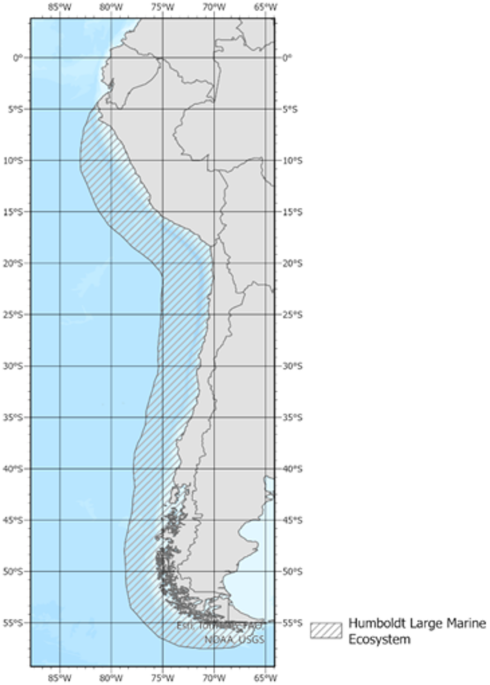 Macroecological patterns of planktonic unicellular eukaryotes richness in the Southeast Pacific Ocean