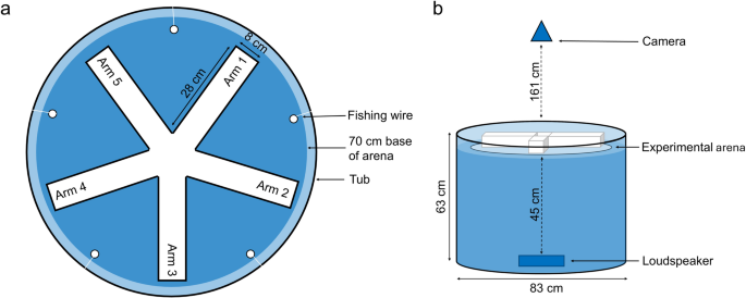 Group personality, rather than acoustic noise, causes variation in group decision-making in guppy shoals