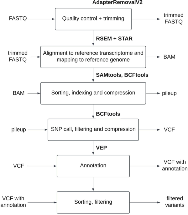 Application of RNA-seq for single nucleotide variation identification in a cohort of patients with hypertrophic cardiomyopathy