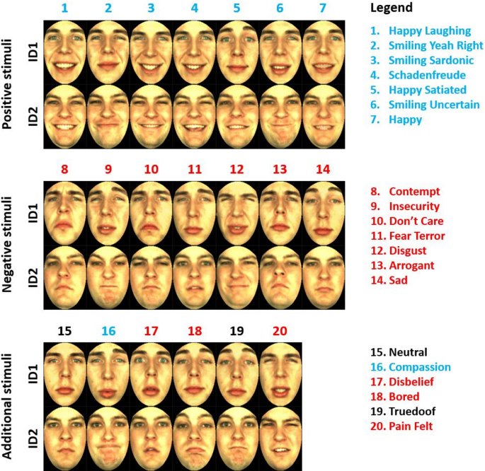 Attention and stimulus structure interact during ensemble encoding of facial expression