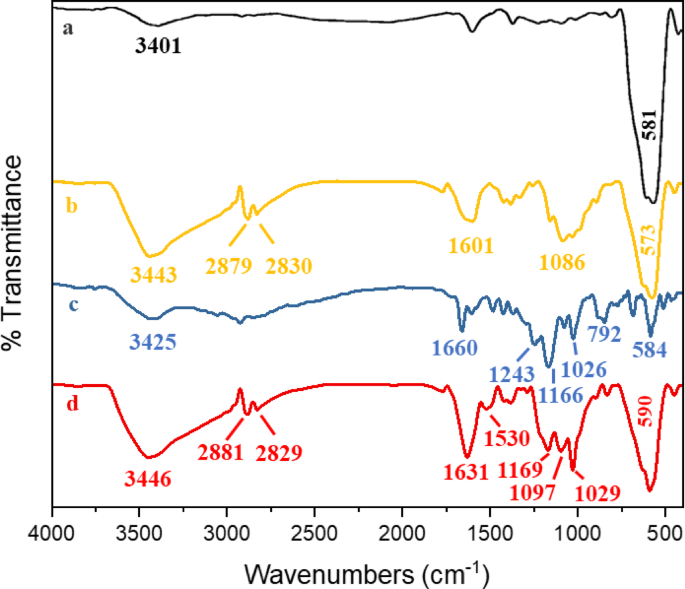 Sulfonated Schiff base immobilized on magnetite-chitosan as an efficient nanocatalyst for the synthesis of xanthene derivatives