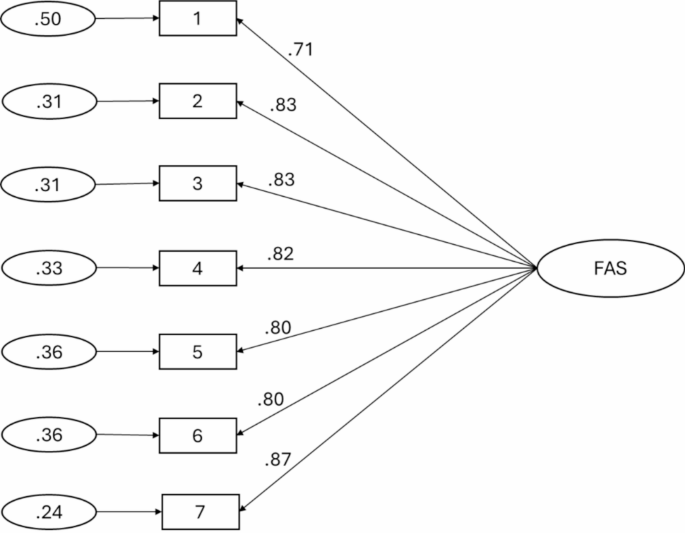 Psychometric properties of the Lithuanian version of the functionality appreciation scale