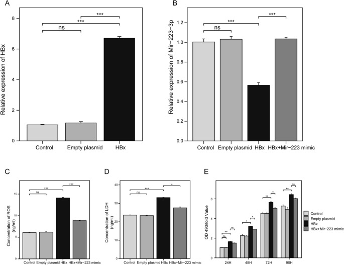 Identification of novel therapeutic targets in hepatitis-B virus-associated membranous nephropathy using scRNA-seq and machine learning