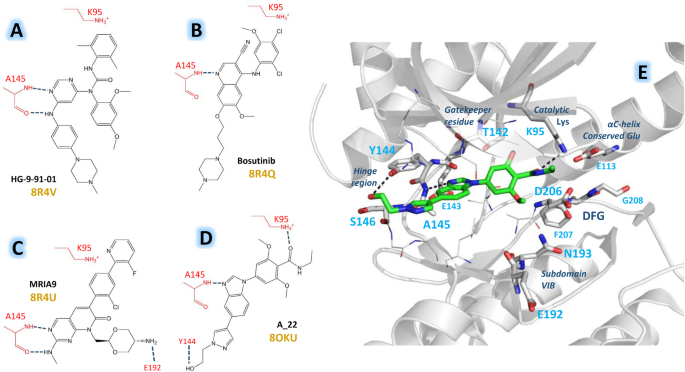 Advanced modeling of salt-inducible kinase (SIK) inhibitors incorporating protein flexibility through molecular dynamics and cross-docking